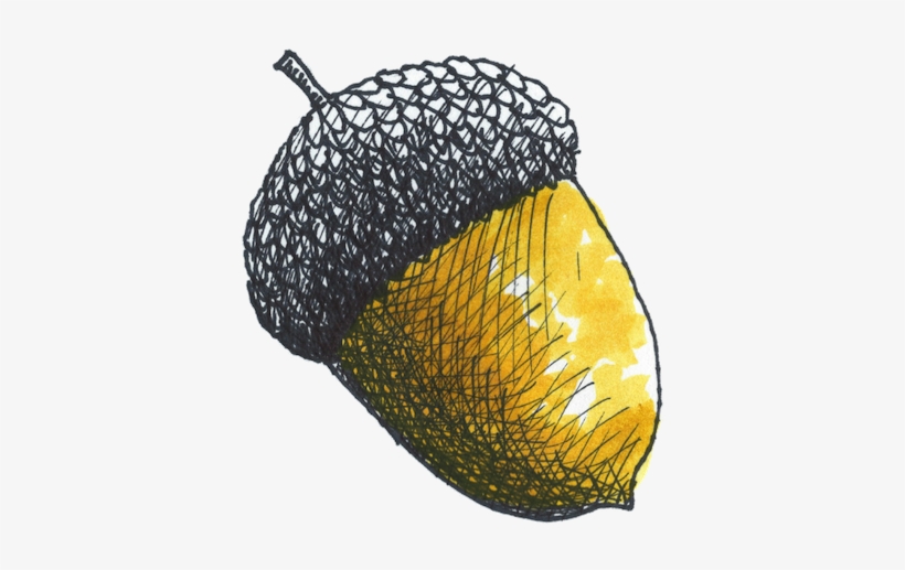 Acorn Watercolor 600dpi Color Copy 2 Format=1000w, transparent png #41549