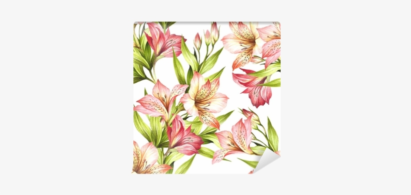 Alstroemeria Drawing Watercolor - Watercolor Painting, transparent png #41723