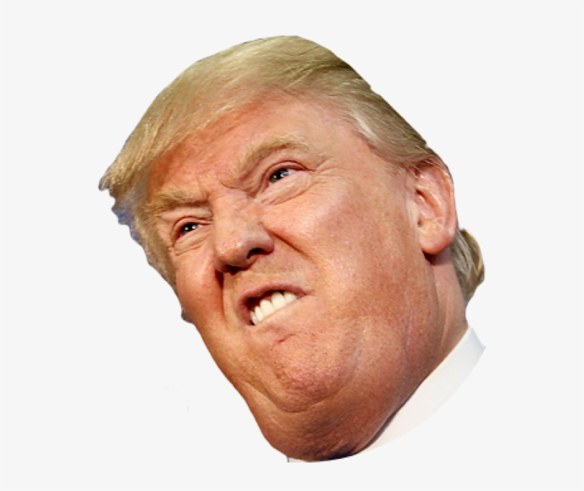 Angry Side Face Trump - Donald Trump Face Transparent Background, transparent png #41744