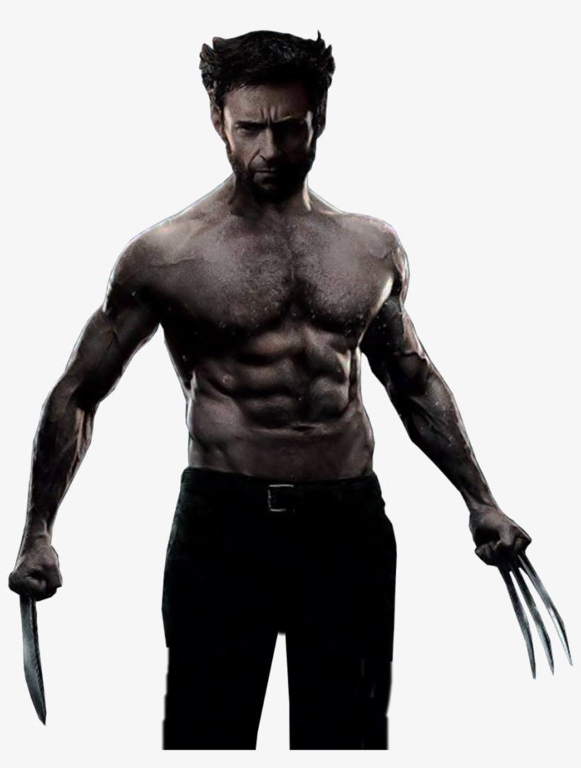 Wolverine Png Image - X Men Wolverine Transparent, transparent png #42254