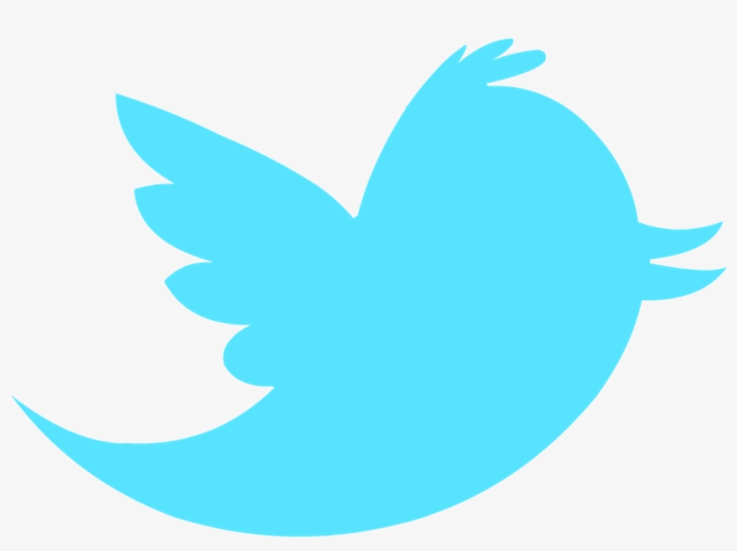 Twitter Bird Transparent - Twitter Icon Without Background, transparent png #42255