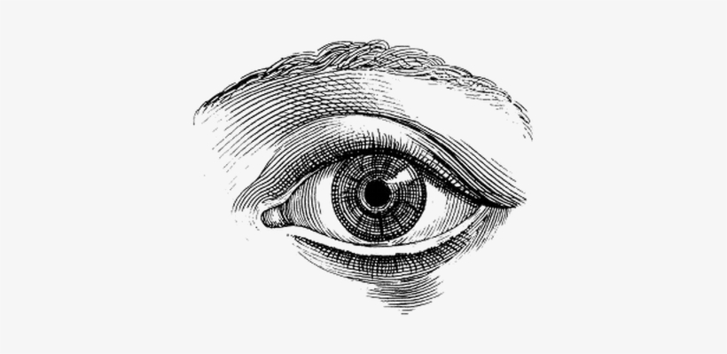 Eyes Illustration, transparent png #42302