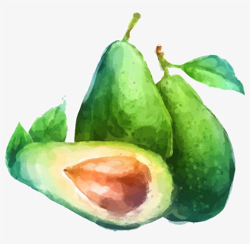 Watercolor Painting Fruit Drawing Illustration - Fruits Drawing Water Colour, transparent png #42460