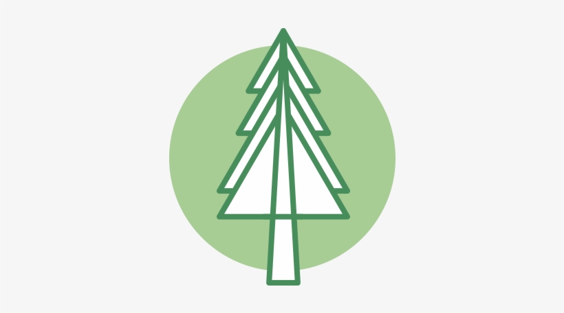 Free Icons Png - Boreal Forest Icon, transparent png #42657