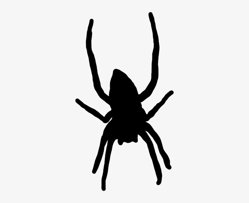 Cartoon Spider Template - Spider Transparent Cartoon, transparent png #42810