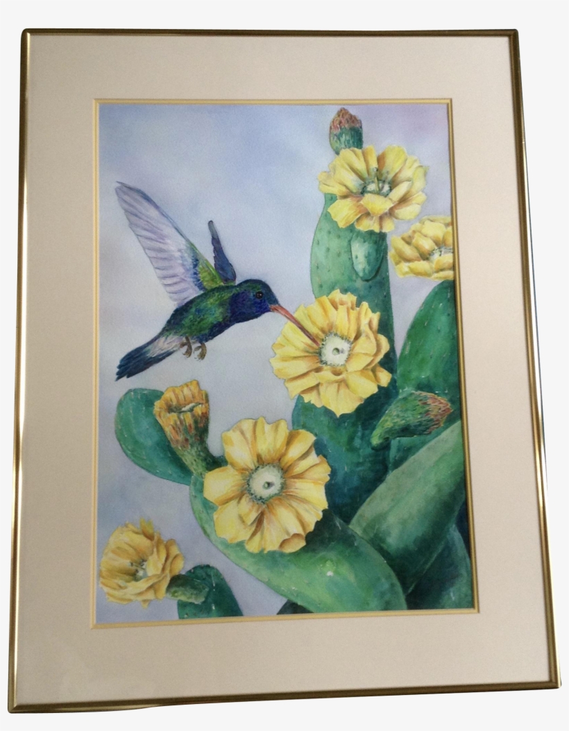 Jenkins, Hummingbird Drinking From A Yellow Cactus - Watercolor Painting, transparent png #43100