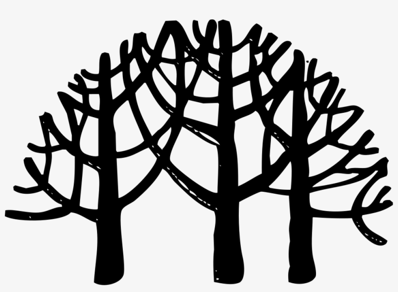 Png File - Tropical Rainforest, transparent png #43291