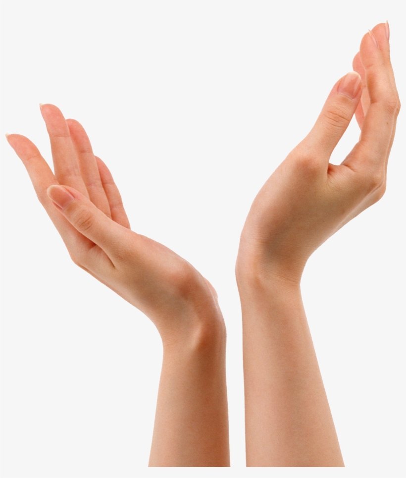 Hands Png, transparent png #43353