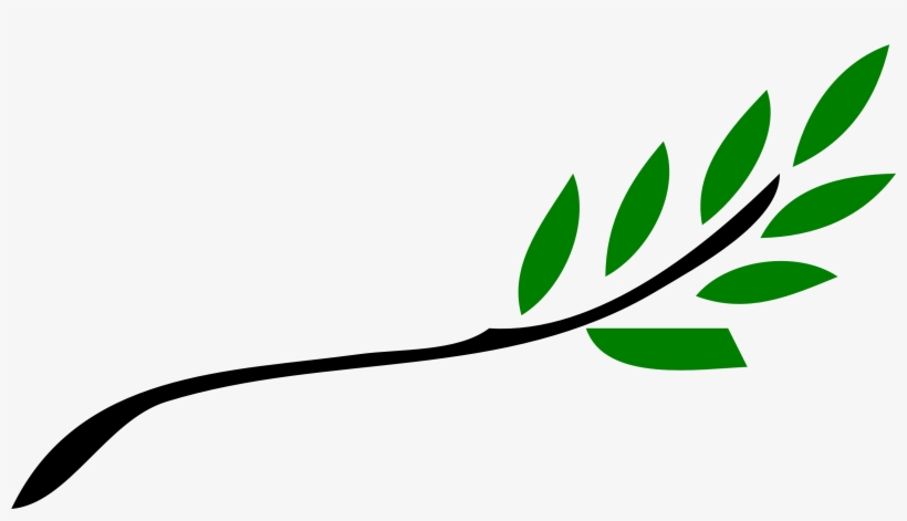 File - Olive Branch - Svg - Olive Branch Peace, transparent png #43405