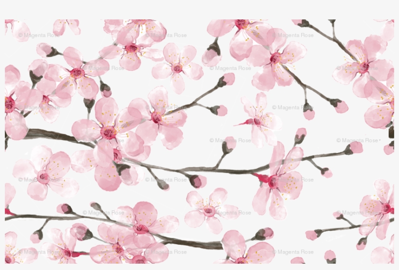 Cherry Blossom Watercolor // Cherry Blossom Floral - Cherry Blossom Watercolor Png, transparent png #43559