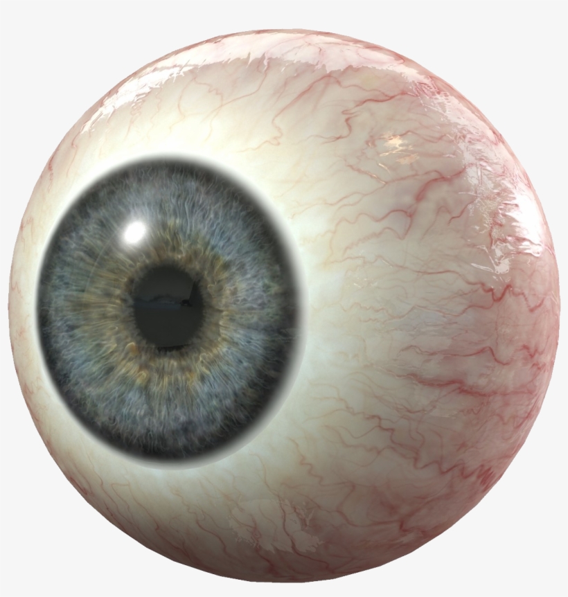 Human Eyes Png Vector Royalty Free Library - Eye 3d Model, transparent png #43562