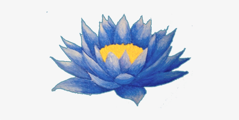 Lotus Flower Tattoos- High Quality Photos And Flash - Lotus Flower Blue Png, transparent png #43636