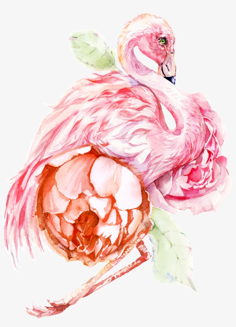 This Graphics Is Hand Painted Flamingo Png Transparent - Flamingo Png, transparent png #43752