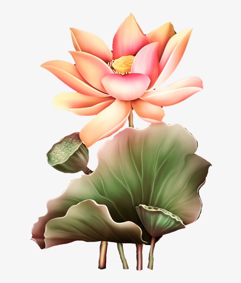 Image Du Blog Zezete2 - China Lotus Vector, transparent png #44005