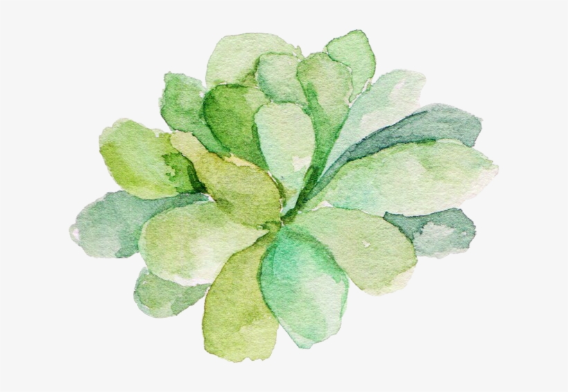 Watercolor Succulent Png Svg Royalty Free Library - Watercolor Succulents Clear Background, transparent png #44069