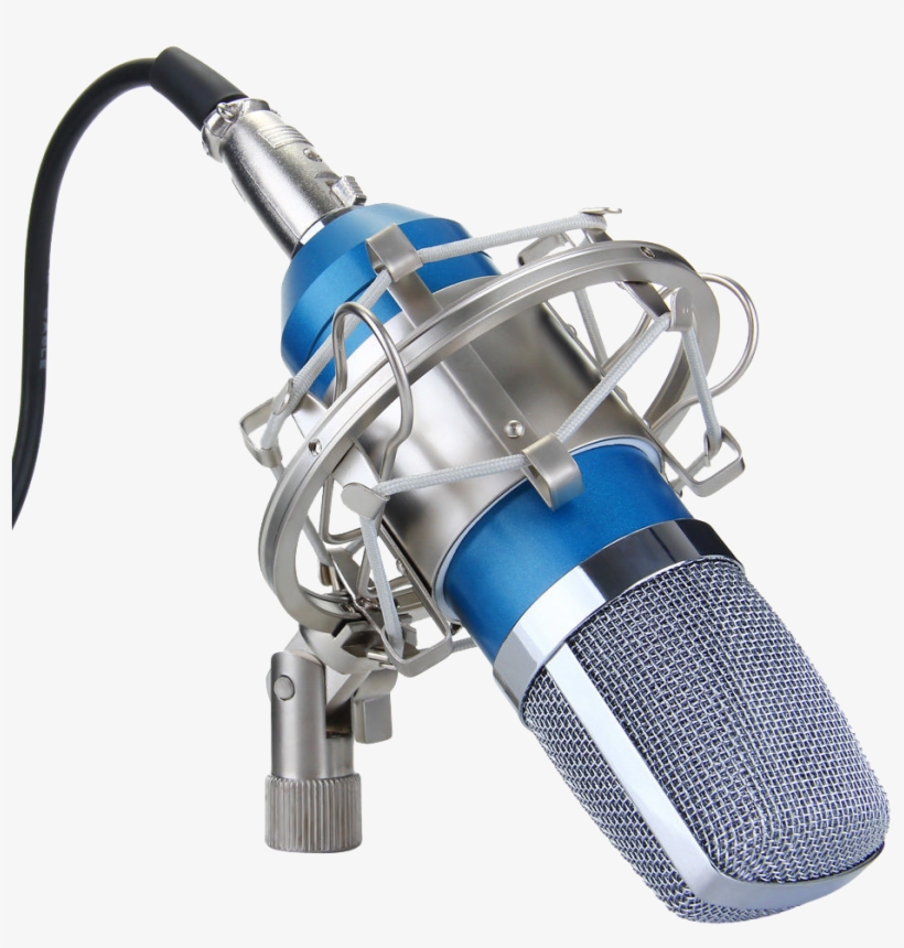 Recording Studio Microphone Transparent Png Image - Bm-700 Condenser Sound Recording Microphone And Metal, transparent png #44439