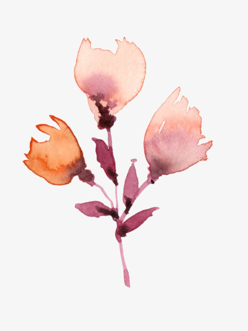 Plant Watercolor Painting Flower Drawing - Watercolor Painting, transparent png #44656