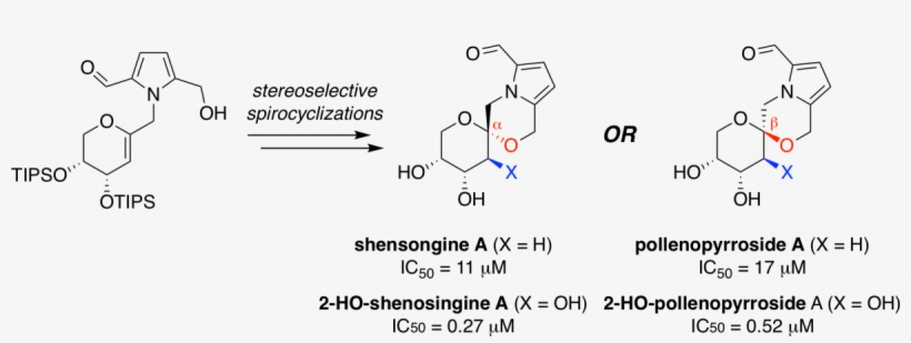 Artic Wilderness Backcountry - Darkness, transparent png #45049