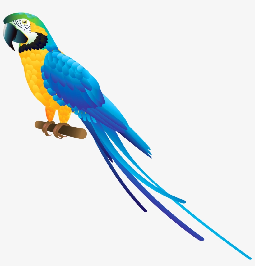 Blue Parrot Png Clipart - Parrot Png Clipart, transparent png #45117