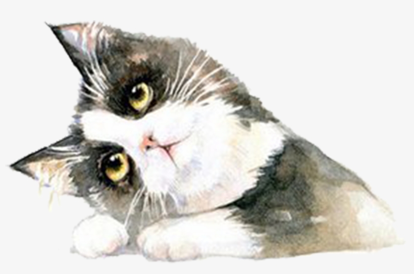 Clip Art Free Stock British Shorthair Ragdoll Hand - Cat, transparent png #45364