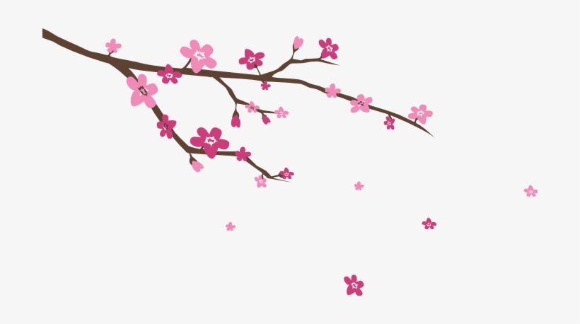 Image Blossoms Wall Decal Stickersstickers - Cherry Blossom Branch Svg, transparent png #45426