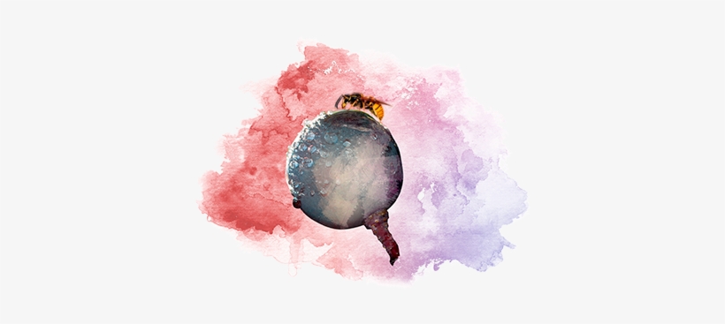 We Face Each Day With Enthusiasm, Working With Simplicity - Illustration, transparent png #45626