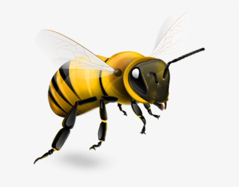 Bee Png, transparent png #45748