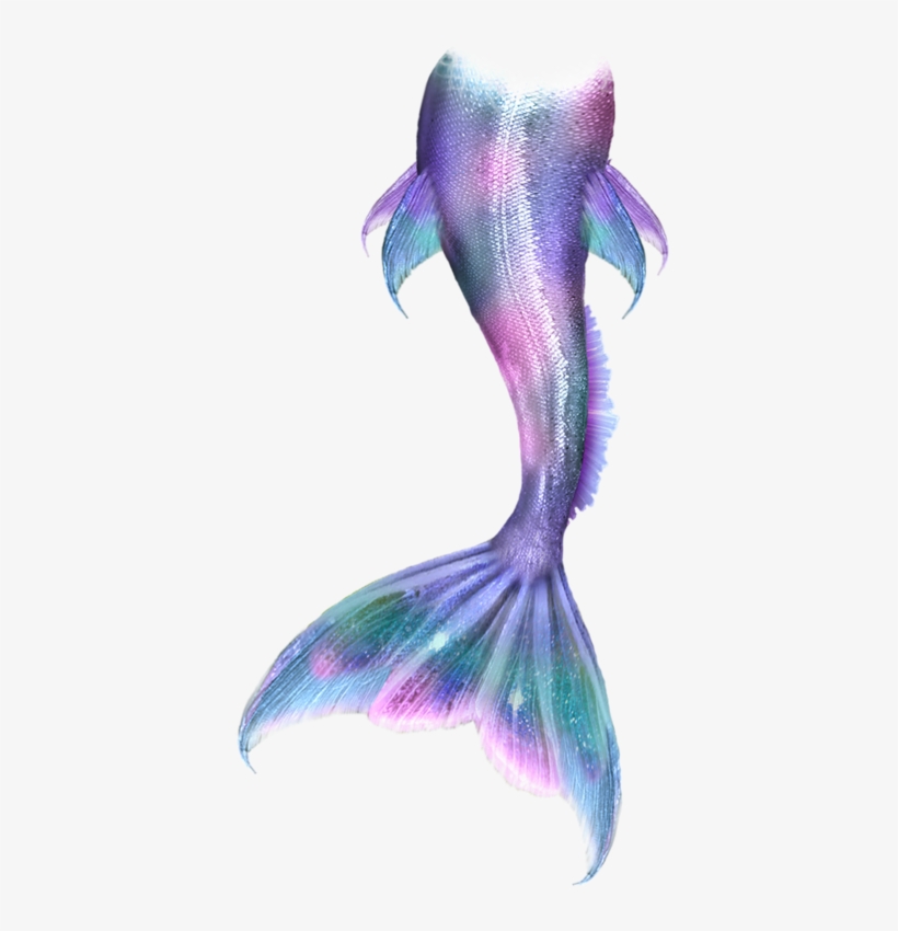 Яндекс - Фотки - Mermaid Tail Fan Art, transparent png #45841