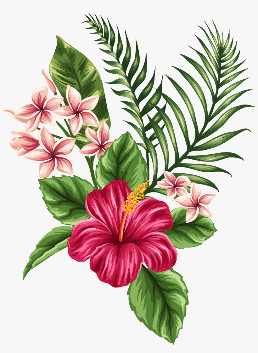 Leading Baseball Training And Softball Training Facility - Hibiscus Drawing, transparent png #46007