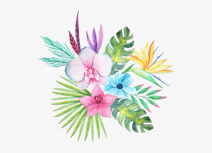 Tropical Watercolor Png Clip Art Transparent - Tropical Watercolour Flowers Png, transparent png #46053