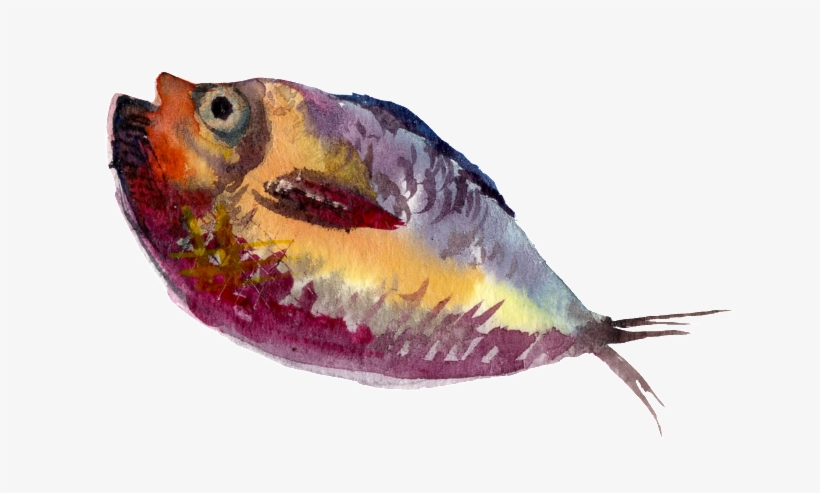 Yellow Purple Watercolor Hand Painted Goldfish Transparent - Fish Painting Png, transparent png #46054
