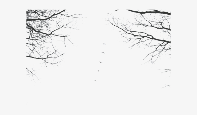 Visit - Cherry Blossom, transparent png #46055