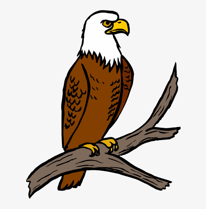 White Tailed Eagle Clipart Simple - Eagle Clipart, transparent png #46073