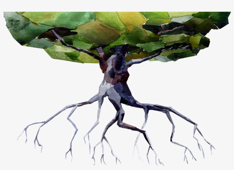 Tree, transparent png #46323