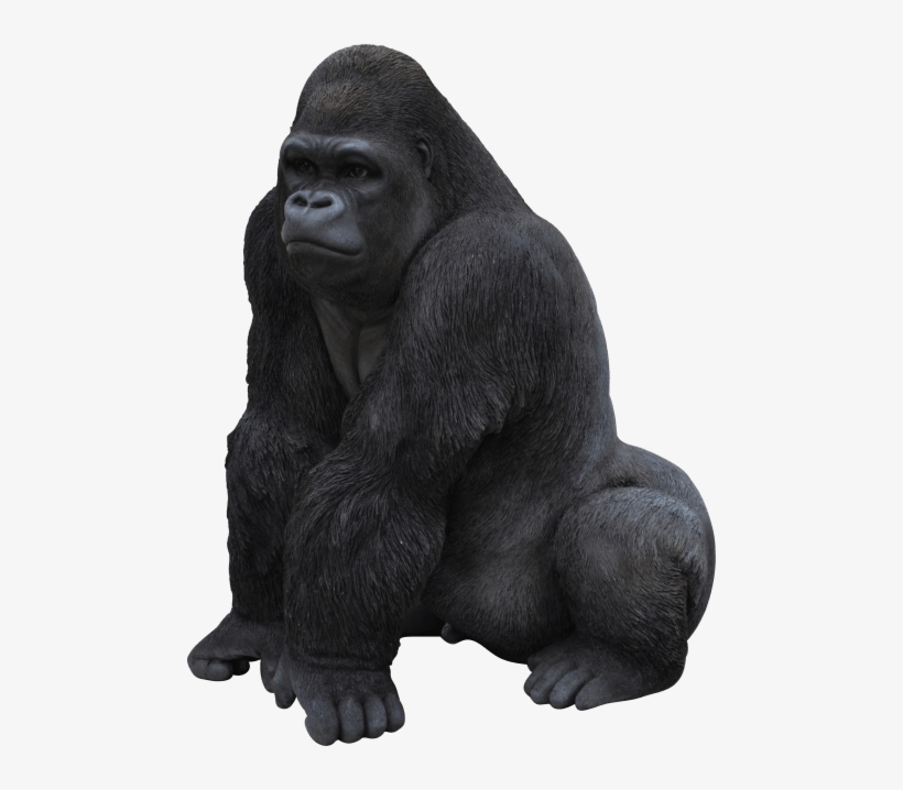 Free Png Gorilla Png Images Transparent - Gorilla Png, transparent png #46547