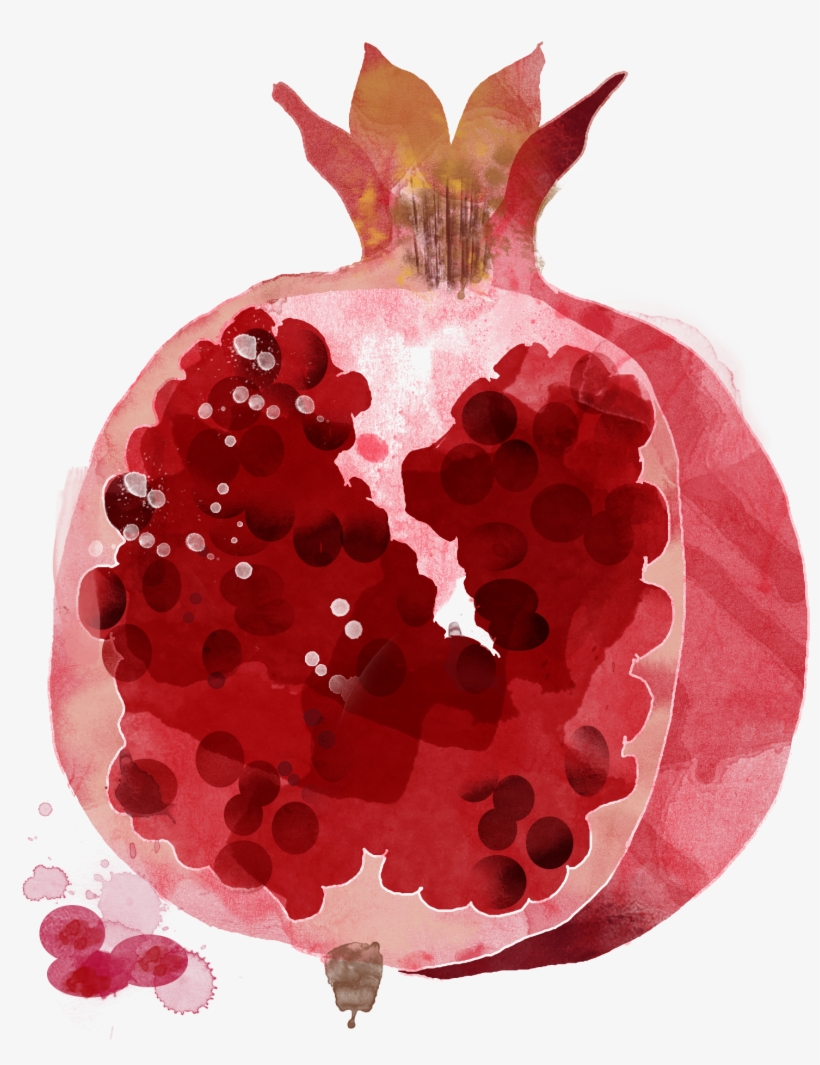 Watercolor Painting Illustration Hand - Pomegranate Illustration Png, transparent png #46673