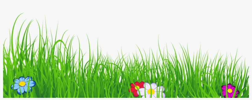 Ground Clipart Clear Background Grass - Grass Clipart Transparent Background, transparent png #47141