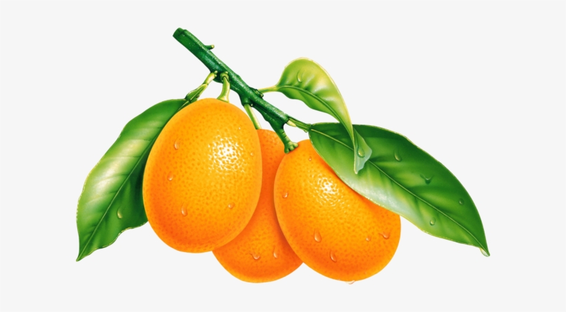 Orange Png, transparent png #47451