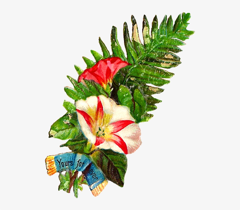 Beautiful Clipart Flower Bokeh - Clip Art, transparent png #47675