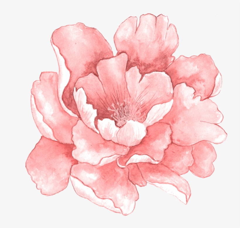 Watercolour - Water Color Flower Png, transparent png #47721