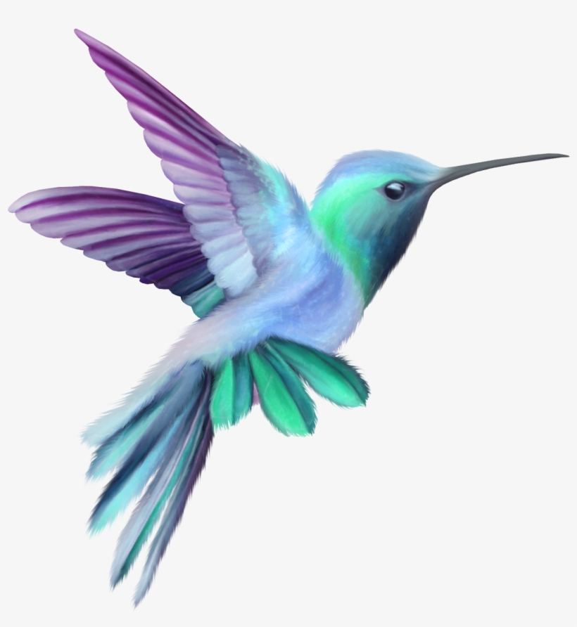Image Result For Hummingbird - Hummingbird Clipart, transparent png #47744