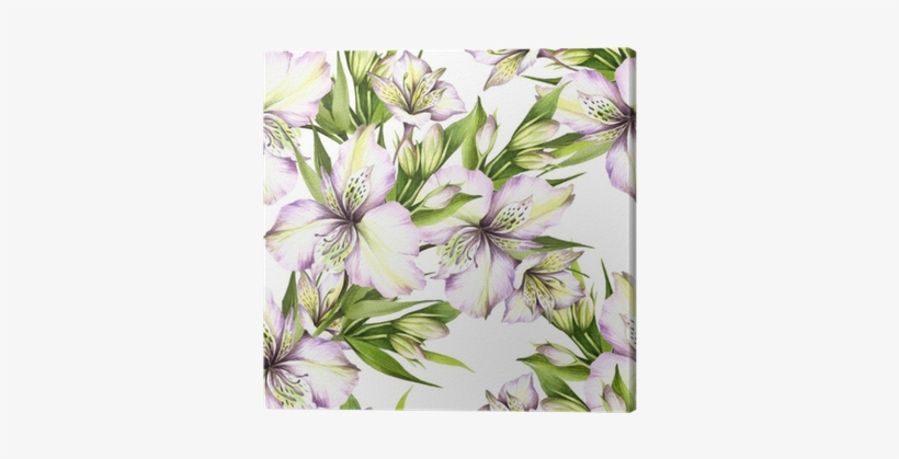 Alstroemeria Drawing Watercolor - Watercolor Painting, transparent png #47772