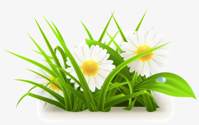 Flowers Grass Vector Grass Vector 3055*1776 - Flower Plant Vector Png, transparent png #47921