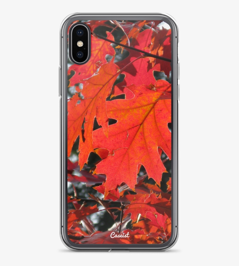 Autumn Maple Iphone Case - Zazzle Red Leaves Poster, transparent png #47947