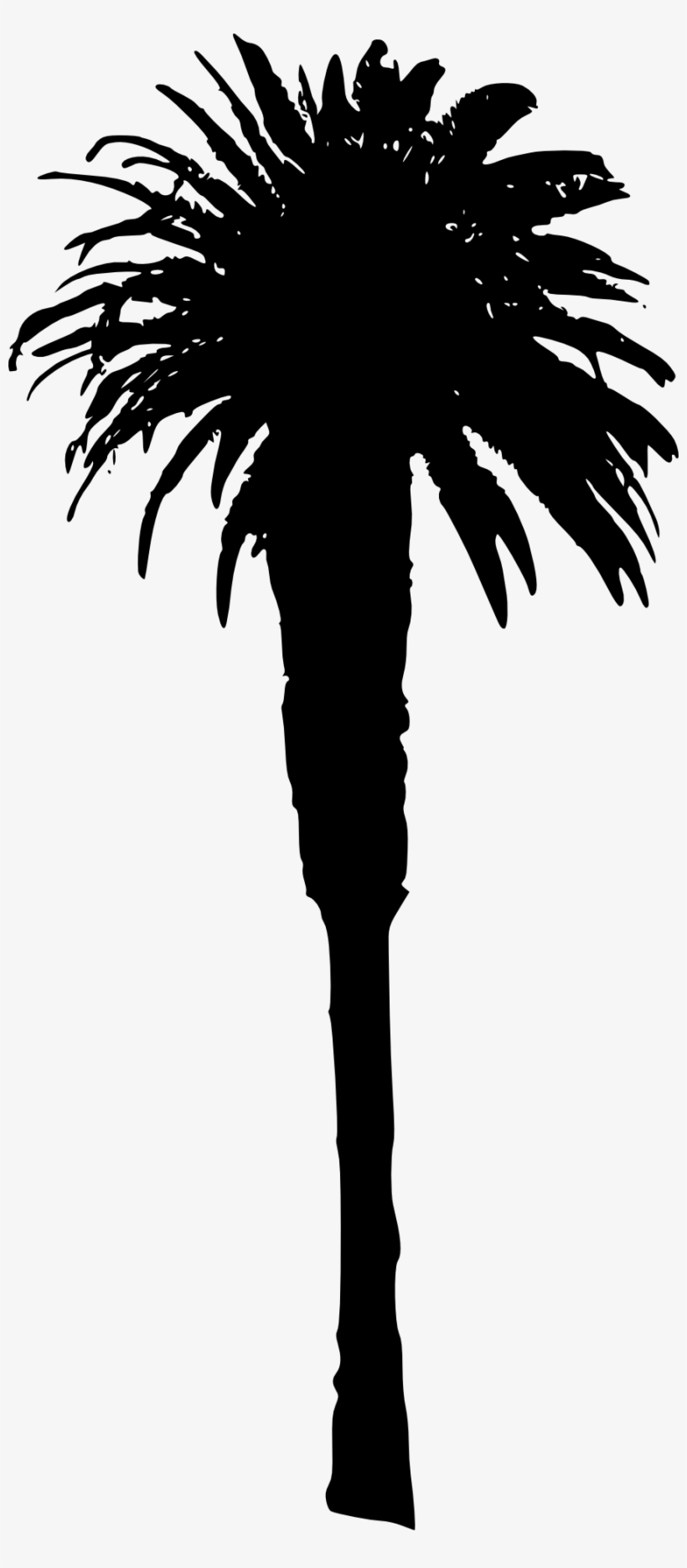Free Png Palm Tree Png Images Transparent - Portable Network Graphics, transparent png #47992
