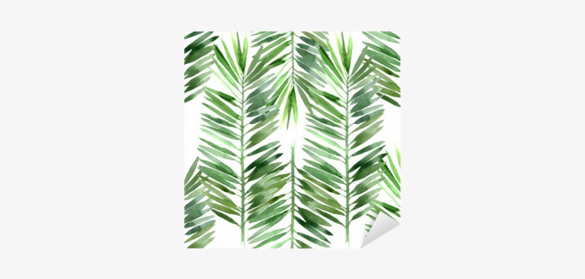 Palm Tree Leaves Watercolor, transparent png #48350