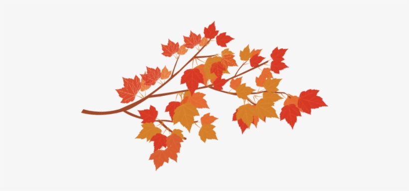 Autumn Branch Png, transparent png #48351