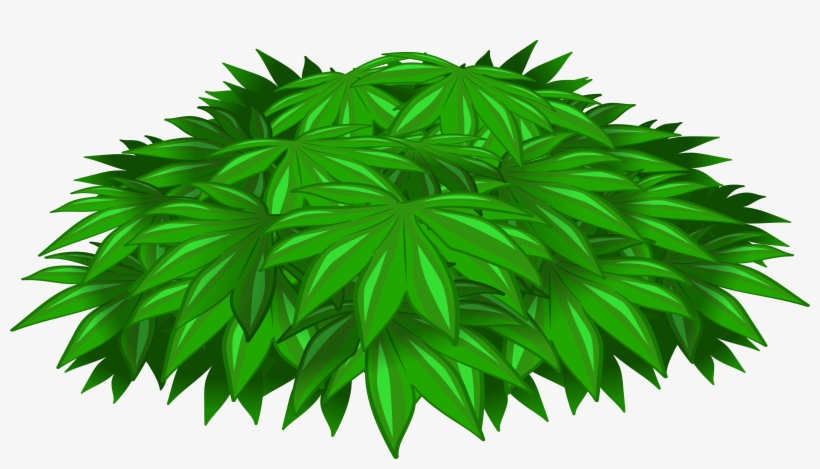 Plant Png, transparent png #48510