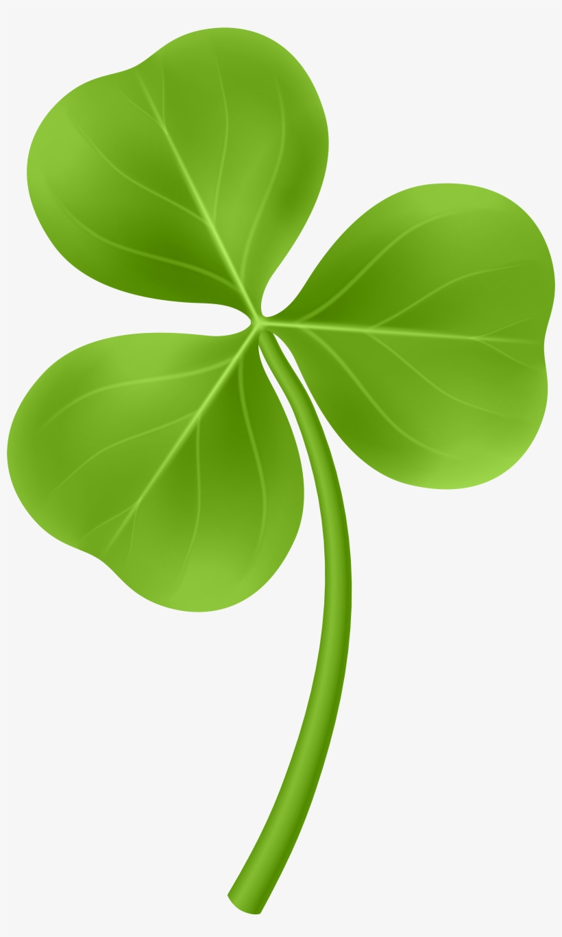 Shamrock Png, transparent png #48536