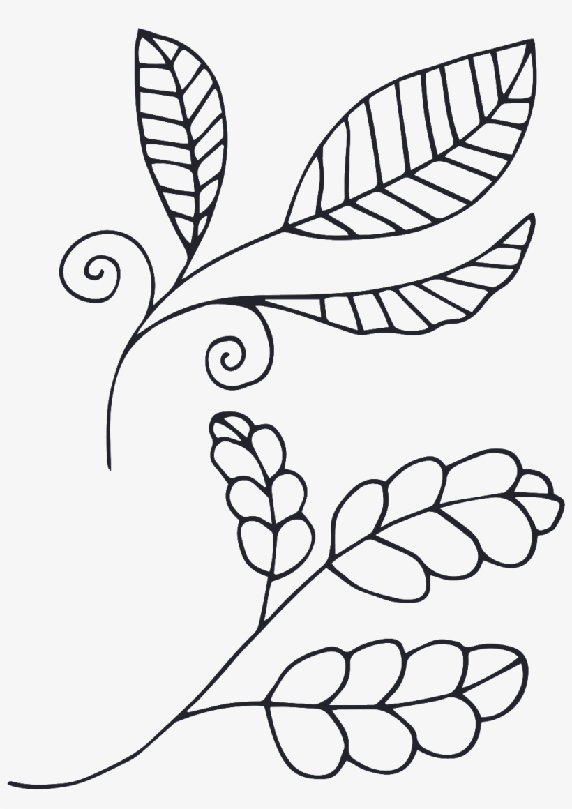 This Graphics Is Hand Drawn Plant Cartoon Transparent - Cartoon, transparent png #48578